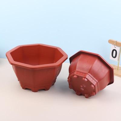 Bahçe Saksıları ve Kutuları – Fide viyolleri