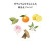[lotion Beauty Cream] N Organic Vie Lotion [100ml] Cream [47g] Set