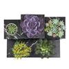 Metal Flower Stand, 6-tier, Metal Loft Plant Pots, Flower Rack