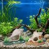 Conch Shape Fish Hideaway Cave Resin Fish Tank Ornaments Shrimp Hiding House  Small Fish Tank
