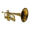 Professional Bb Trumpet Brass Polished Brand New Edition with Mouthpiece Best for Gift