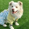 4-Leg Dog Protective Pants Anti-Dust Insect-Repellent Lightweight Leg Cover Outdoor Walks Fall Winter