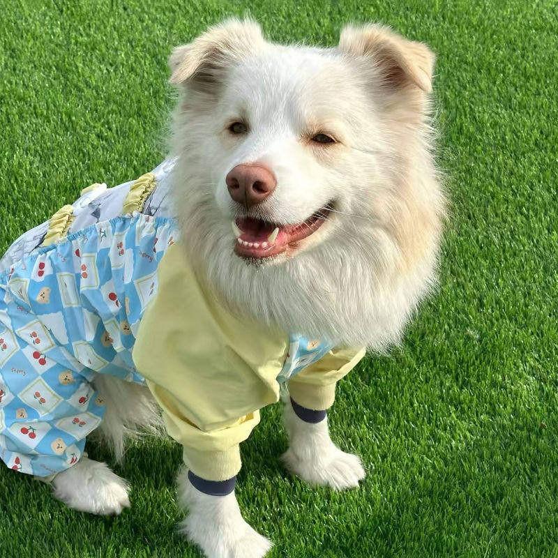 4-Leg Dog Protective Pants Anti-Dust Insect-Repellent Lightweight Leg Cover Outdoor Walks Fall Winter