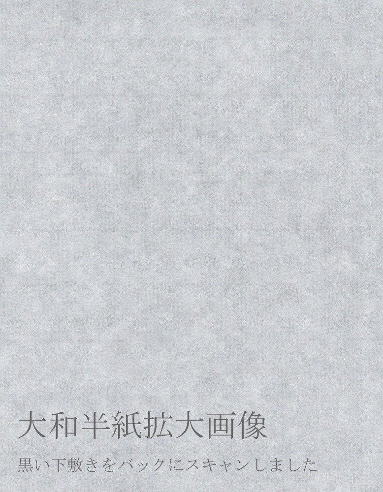 Kobaido Calligraphy Paper "Yamato" 500 Sheets, Inshu Washi Paper for Practice and Final Copy