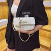 Small Round Bag Women's Winter New Fashion Versatile Model Temperament Shoulder Bag Oblique Span Bag Women's Bag Women's Bag