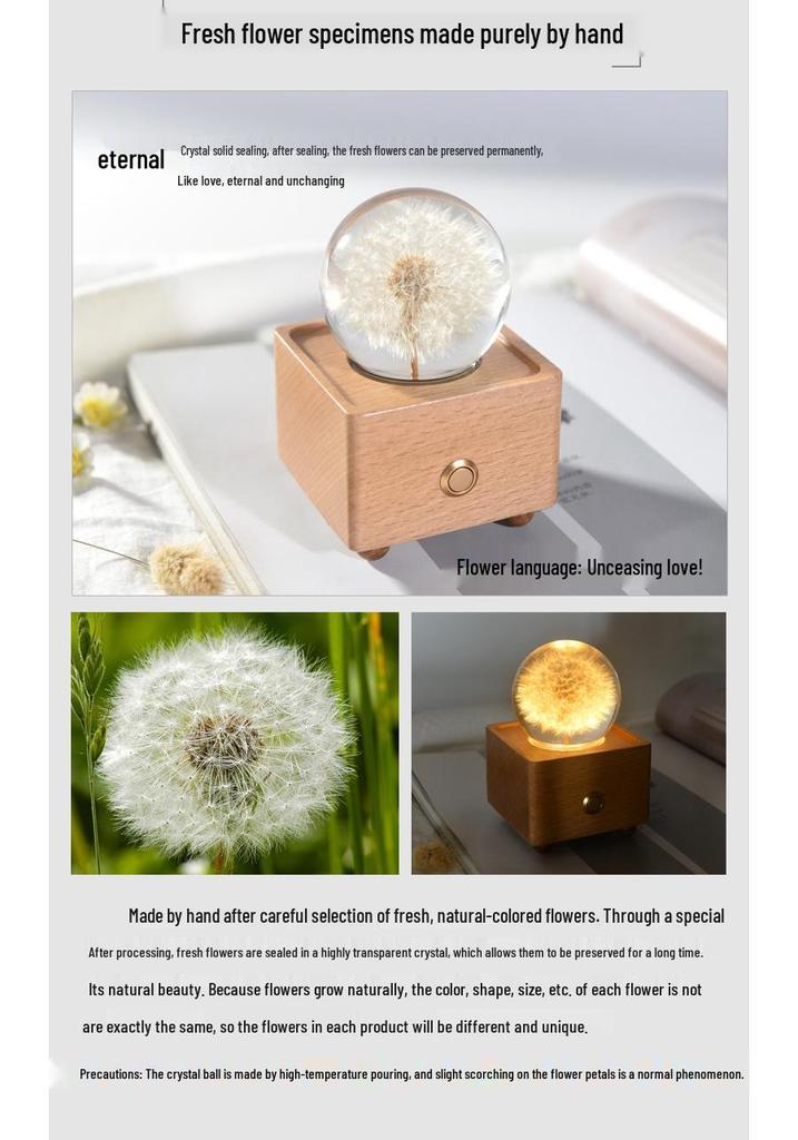 Dandelion Bluetooth Speaker Night Light: Crystal Ball with Preserved Flower - Unique Christmas/Birthday Gift