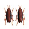 Interactive Novelty Gag Toys Funny Cockroach Battery Training Play Toy Kids
