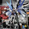 HG Strike Freedom Unicorn Red Astray Gundam Model Building Kit