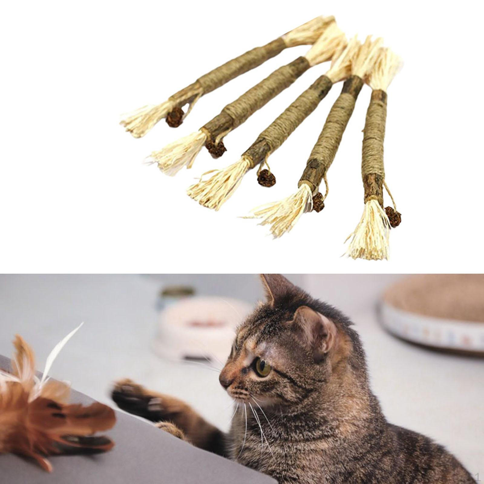 

5 Packs Cat Catnip Toys Sticks Chew Toy Interactive Funny Suitable for All Cats Molar Fruit ball