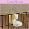 Pet Food And Water Dispenser With Pp Material For Cats And Dogs