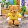 Teddy Bear Doll Plush Toy Children's Pillow Rag Doll Night Market Gift Gifts Gifts Floor Stand
