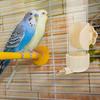 Automatic Bird Waterer Feeder for Cage Plastic Safe Sturdy Compact Lightweight Water Dispenser for Parrots Lovebirds