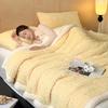 2026 Autumn Winter Blanket Thickened Tuff Lamb Velvet Blanket for Bed Soft Fluffy Warm Sofa Blankets Office Sofa Bedding Blanket