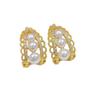 Natural freshwater pearl earrings, palace retro lace, high-end multi bead earrings, women's gift
