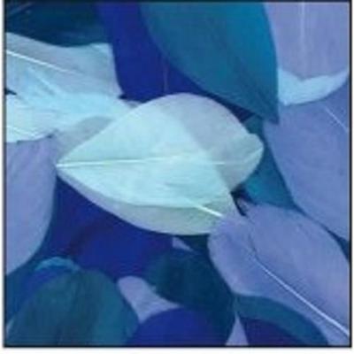 Geknipte ganzenveren - Blauw Camaïeu - 10 gram - Lengte 6 cm
