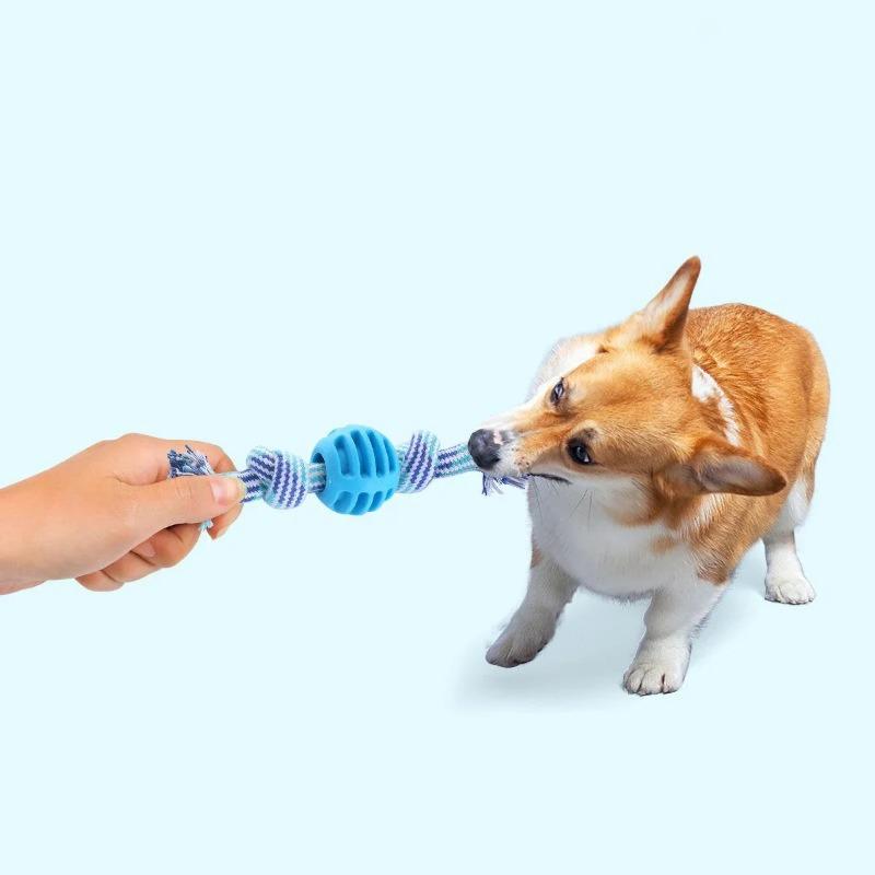 TPR Ball & Cotton Rope Dog Toy - Teeth Cleaning, Interactive Play, Washable & Durable