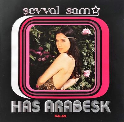 CD SAM, SEVVAL - Has Arabesk CD502 Kalan 2010 Türkei Musik Andere Gebraucht