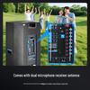 SAST Dual 15-inch High-Power Portable Bluetooth Stage Speaker System (CN version)