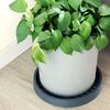 1/5pcs Flower Pot Tray Round Plastic Tray Heavy Duty Tree Flower Potted Planter Stand Rack Removable Moving Trays Garden Tools