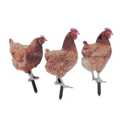 3 יחידות שתילים לגינה תרנגולת פסל תרנגולת ריאליסטי קישוט אקרילי חיות שתילים לחצר שלט עבור O