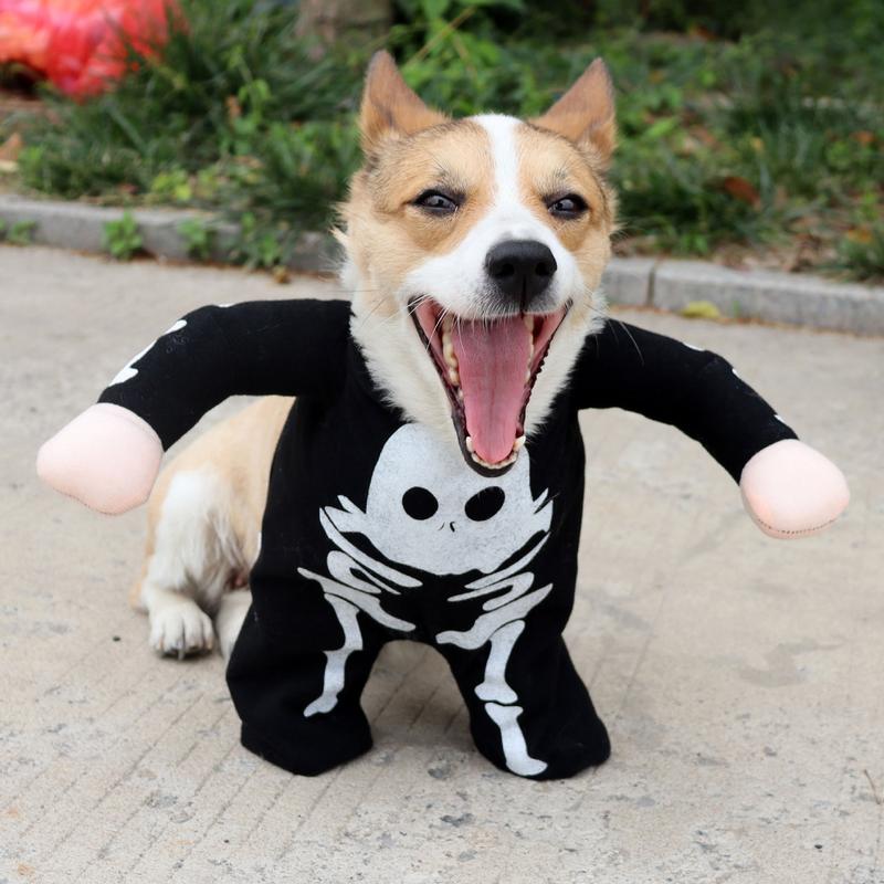 Dog Skeleton Halloween Costume Halloween Costume Dog Glow In The Dark Skull Clothes Pet Clothes Novelty Funny Halloween Pet