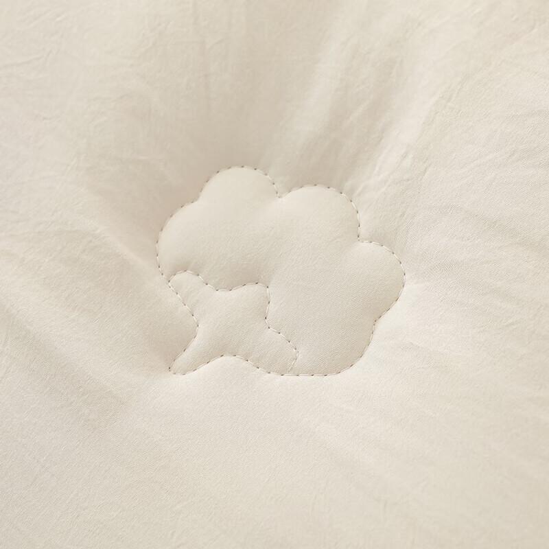 Youmengjiaju Warm Washed Cotton Winter Quilt