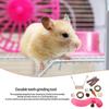 Hamster Chew Toy Set Natural Wooden Hamster Toys And Accessories For Cage Guinea Pig 11Pcs Chew Toy Teeth Small Animal Toy
