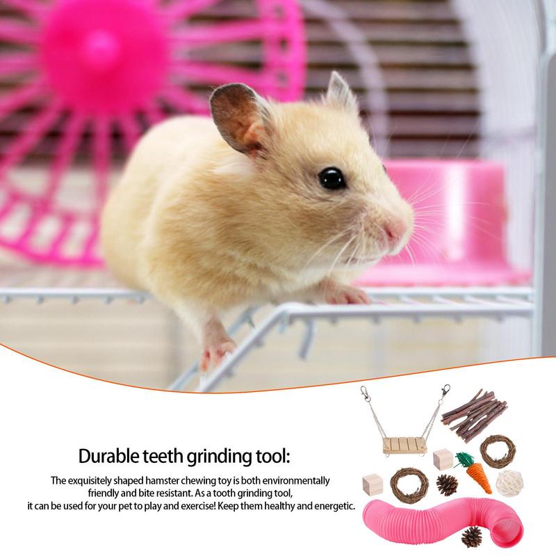 Hamster Chew Toy Set Natural Wooden Hamster Toys And Accessories For Cage Guinea Pig 11Pcs Chew Toy Teeth Small Animal Toy