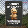 Metal Wall Art Duck Retro Sign for Bar Vintage Sorry I'm Cranky Plate 12x30 cm