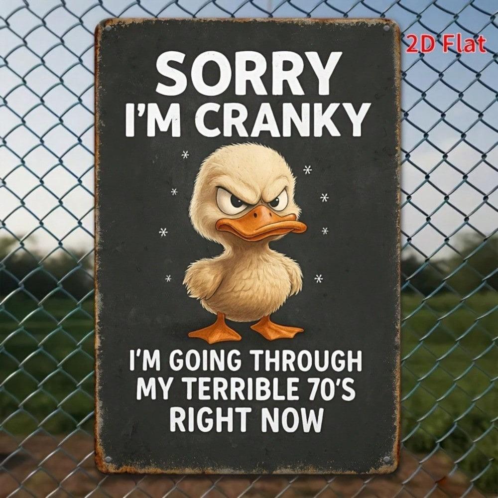 Metal Wall Art Duck Retro Sign for Bar Vintage Sorry I'm Cranky Plate 12x30 cm