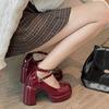 Small Thick Heel High Heels Spring and Summer New Retro Versatile Platform Mary Jane Shoes Children's Single Shoes