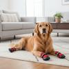 4 pcs/set Anti-slip Dog Mesh Shoes Breathable Soft Sole Dog Walking Boots Lightweight Wear-resistant Pet Shoe Cover