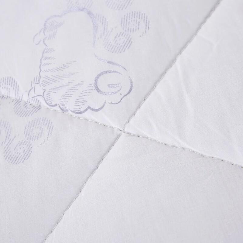 Yoomon Home Winter Polyester Fiber Quilt