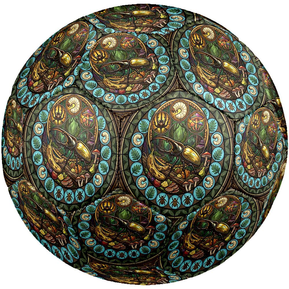 Insect Life Cycle Round Football Size 5 Adult Ball Suitable for Training Matches and Outdoor Team.