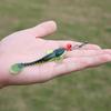 Fishing Lures 12PCS/LOT Soft Fishing Lure Bright Color Swimbait Worm Lure for Fishing Bait