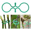 20/50/100Pcs Plastic Plant Vine Plant Support Strapping Clips Plants Climbing Stand Vegetable Bundled Support Growing Holde Set