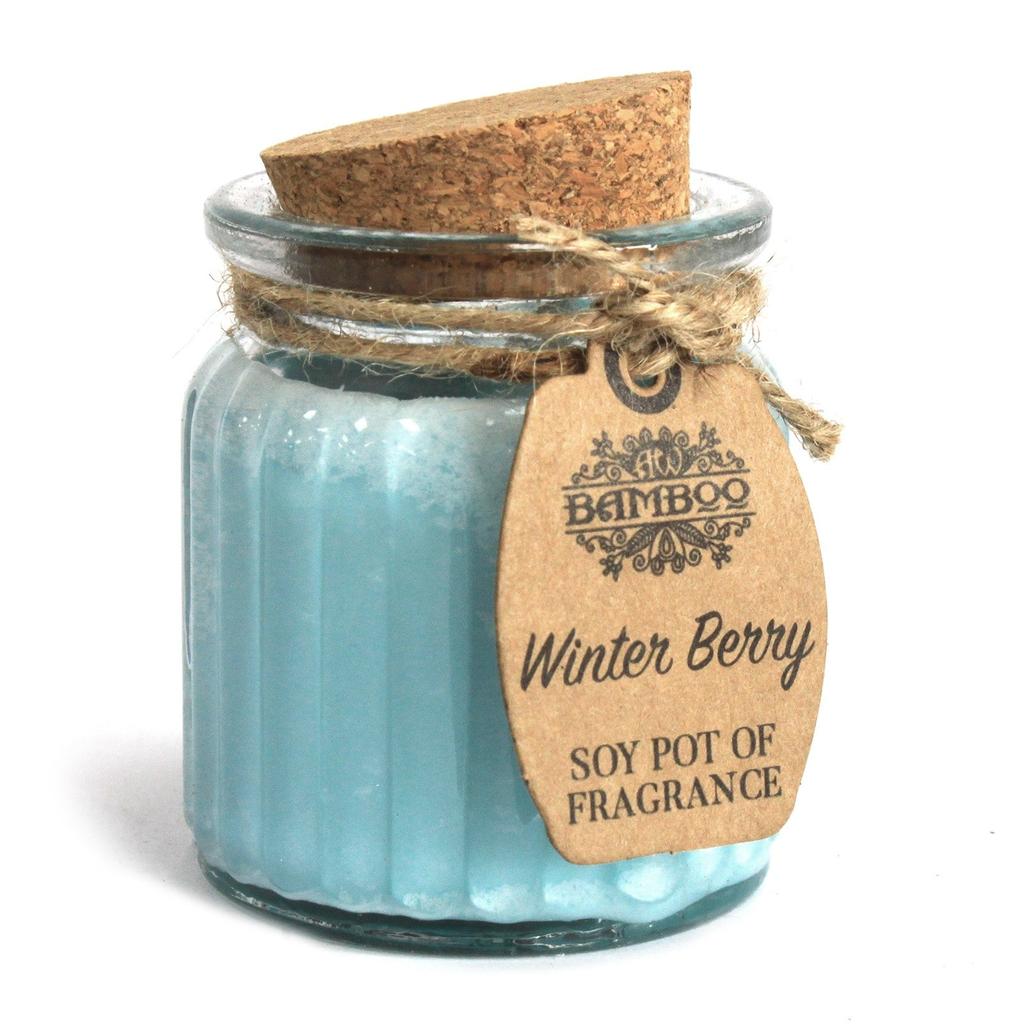 2x Scented Soy Jar Candles Winter Berry, 2 Pack