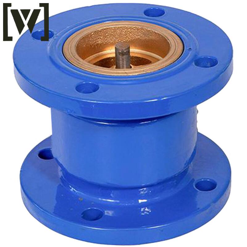 W Baipu Ductile Iron Silent Check Valve