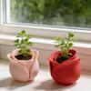 Plastic Mini Rose Shape Pots Cute Green Onion Pots Modern Flowerpots  Indoor Plants