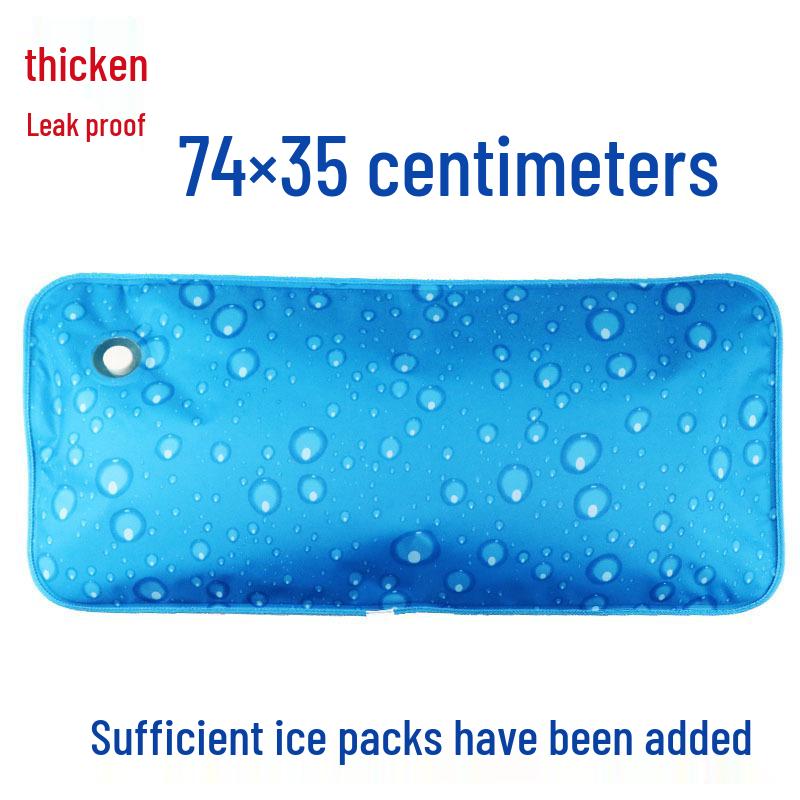 Large Water-Filled Cooling Ice Pillow for Adults & Students
