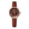 Small Brown Watch Student Niche High-End Watch Light Luxury Diamond-Encrusted Women'S Quartz Watch