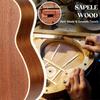 CAHAYA 23 Inch Ukulele Soprano Sapele Wood 3 Year Warranty Soprano Ukulele Ukulele Beginner 3 Piece Set of Accessories Strap x 1 Chord Chart x 1 Gig