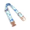 Blueberry Cartoon Pet Collar & Leash Set (INS Style)