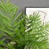 Artificial Green Plant Mimosa Herb Silicone Leaves Greenery Artificial Plants Fake Boston Fern for Home Indoor Outdoor Decor