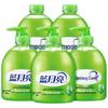 Blue Moon Aloe Vera Antibacterial Hand Soap 5-Pack