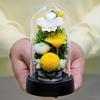 Art for Seasons Mini Mum Mini Dome Yellow Preserved Flowers