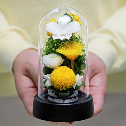 Art for Seasons Mini Mum Mini Dome Yellow Preserved Flowers