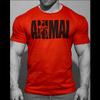 Summer Gym Fitness T-shirt Loose Men's Cotton Shirt Bodybuilding Training Man T Shirt Oversized Sports Short Sleeve Jogger Tee