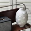 AS60-Artistic Face Lip Potted Plants White Pottery Vase Dry Flower Insert Artist Residence Decorative Ornaments