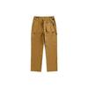 The North Face Cargo Pants Men's Khaki Moderate Straight Fit Pants NF0A7QP7-173